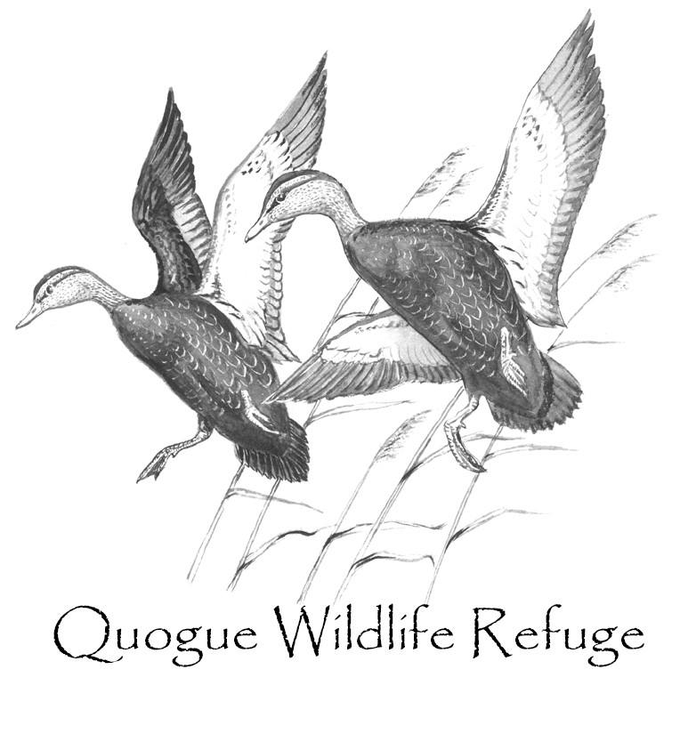 Quogue Wildlife Refuge logo