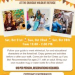 Enchanted Forest Trail at the Quogue Wildlife Refuge